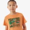 Bomullst-shirt med grafiskt tryck Bomullst-shirt med grafiskt tryck