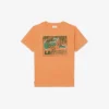 Bomullst-shirt med grafiskt tryck Bomullst-shirt med grafiskt tryck