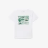 Bomullst-shirt med grafiskt tryck Bomullst-shirt med grafiskt tryck