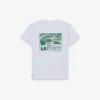 Bomullst-shirt med grafiskt tryck Bomullst-shirt med grafiskt tryck