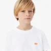 Bomullst-shirt med krokodiltryck Bomullst-shirt med krokodiltryck