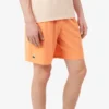 Lacoste Tennis X Novak Djokovic-shorts för herr Lacoste Tennis X Novak Djokovic-shorts för herr