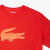 Sport-T-shirt i bomull med tryck för män i lång modell Sport-T-shirt i bomull med tryck för män i lång modell