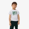 T-shirt i bomull med grafiskt tryck T-shirt i bomull med grafiskt tryck