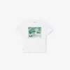 T-shirt i bomull med grafiskt tryck