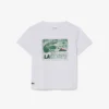 T-shirt i bomull med grafiskt tryck T-shirt i bomull med grafiskt tryck