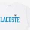 T-shirt i bomullsjersey – Plusstorlek – Stor T-shirt i bomullsjersey – Plusstorlek – Stor